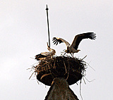 Strche auf dem Kirchturm